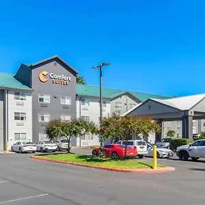 Comfort Airport Hotel